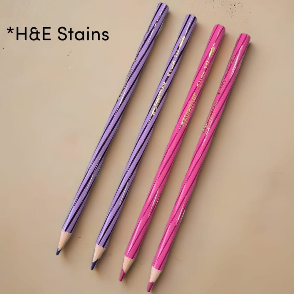 SDL - 4 Pieces of Staedtler Color Pencil for H&E Stains and Coloring (2 Pink and 2 Purple) | With Stripes